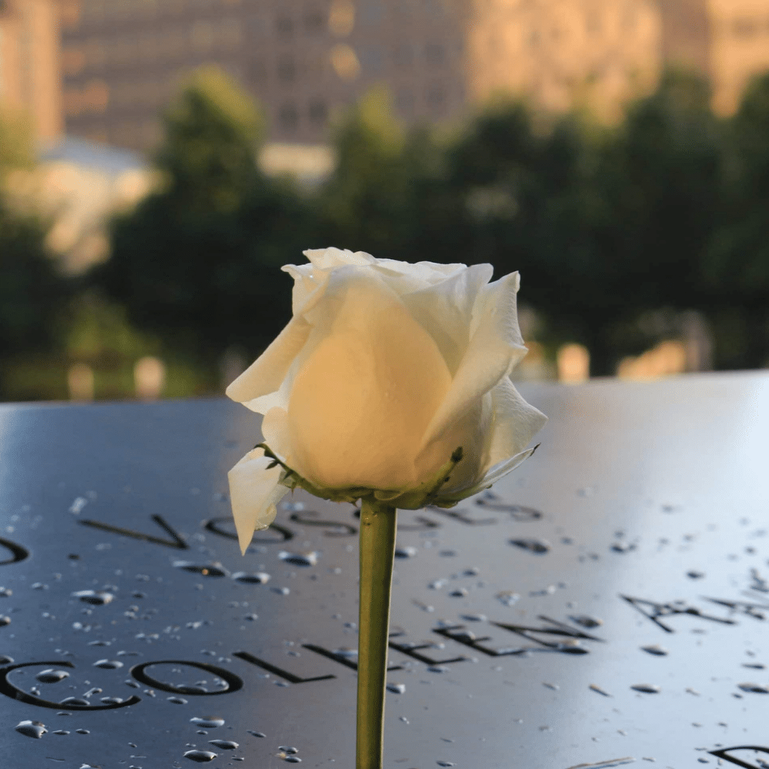 Reflecting on the 20-Year Anniversary of 9/11