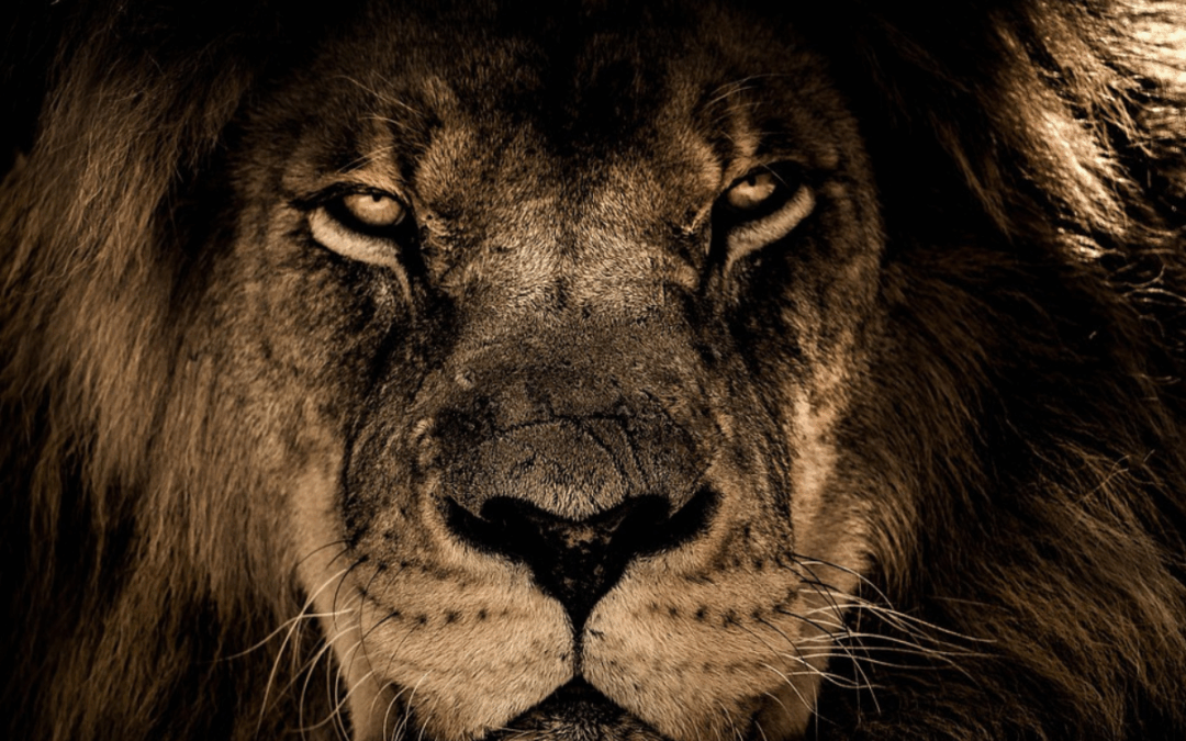 Why Niche Media Is Your PR Power Move